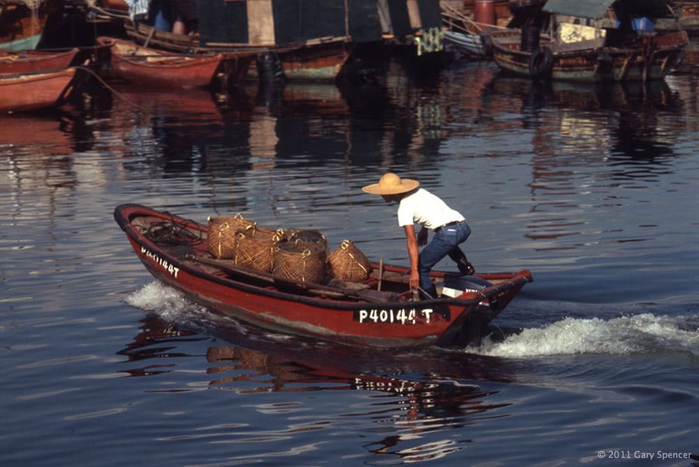 Fisherman fishing in China